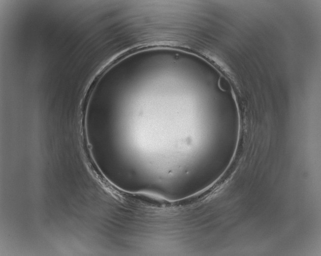 X0000070180933200606091503