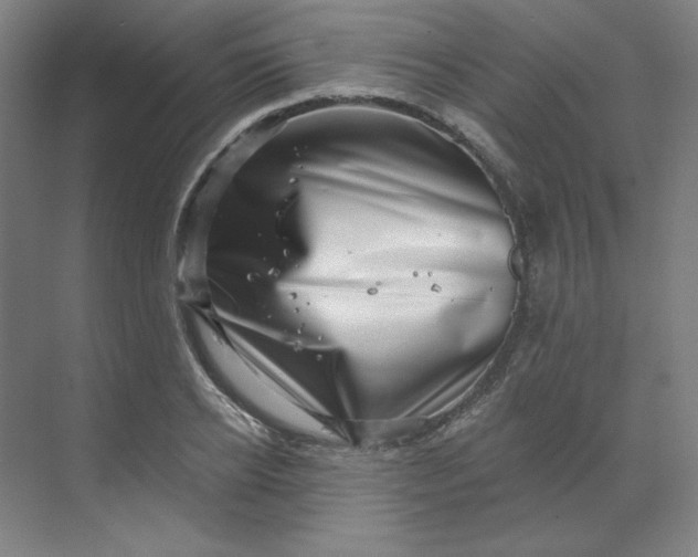 X0000070180934200606091503