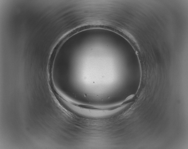 X0000070180935200606091503