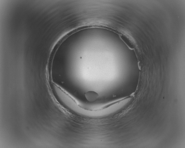 X0000070180936200606091503