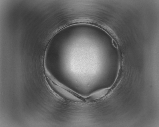 X0000070180937200606091503