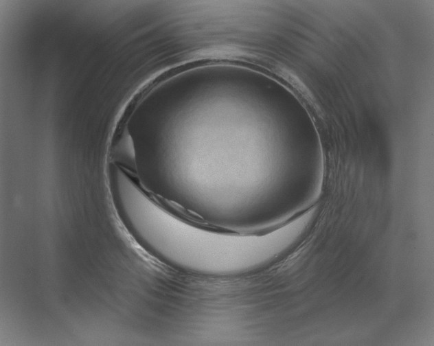 X0000070180939200606091503