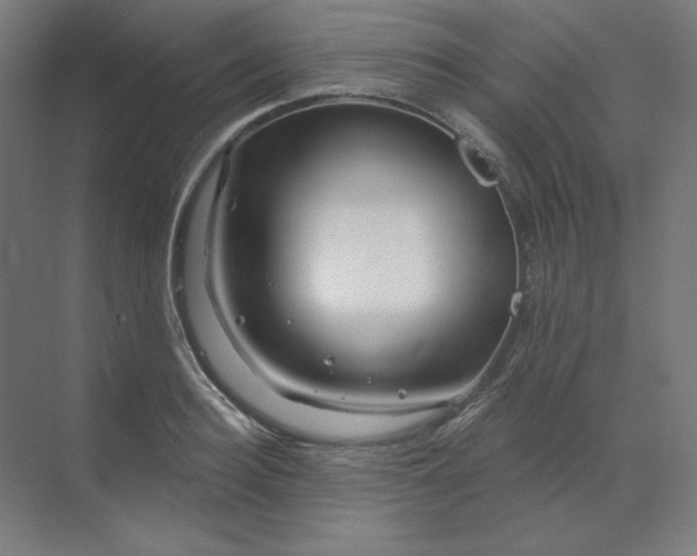 X0000070180940200606091503