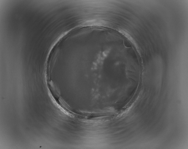 X0000070180941200606091503