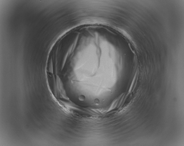 X0000070180943200606091503