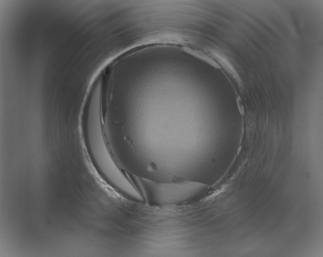 X0000070180944200606091503