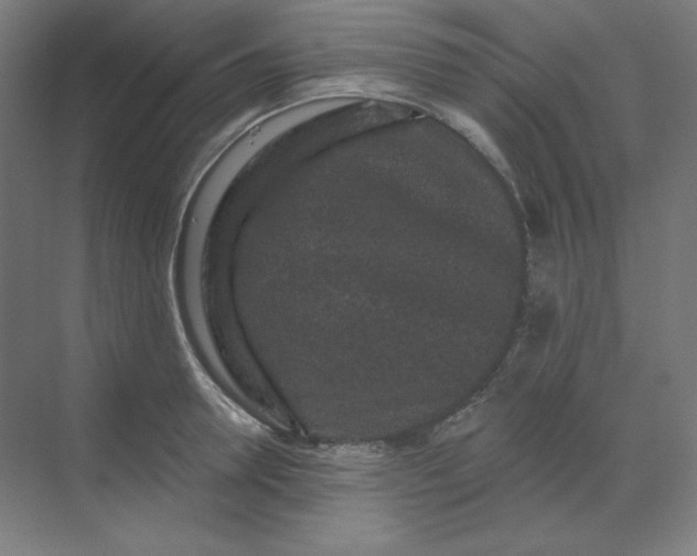 X0000070180946200606091503