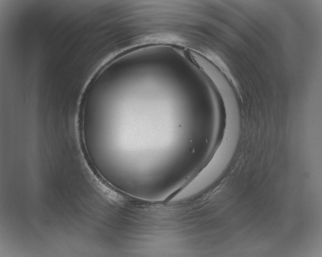 X0000070180947200606091503