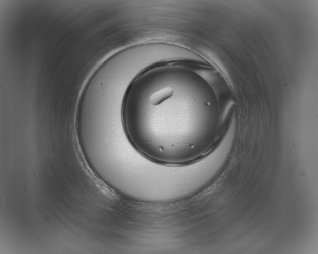 X0000070180948200606091503