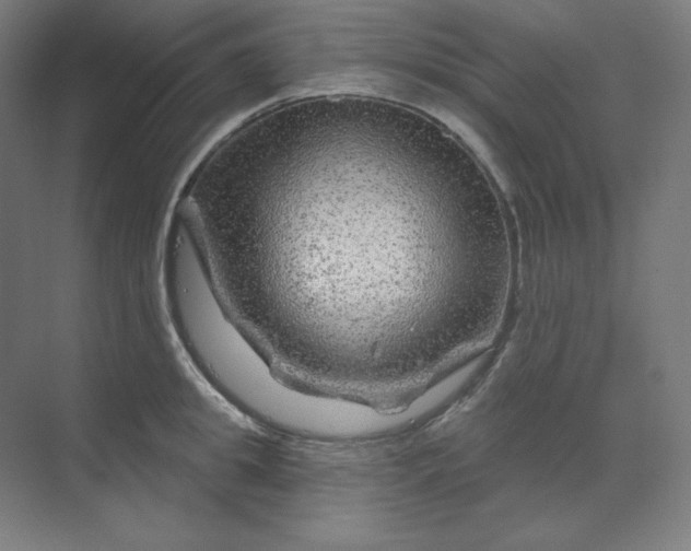 X0000070180949200606091503