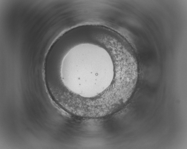 X0000070180950200606091503