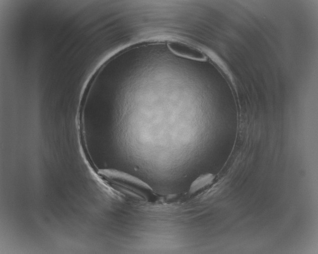 X0000070180951200606091503