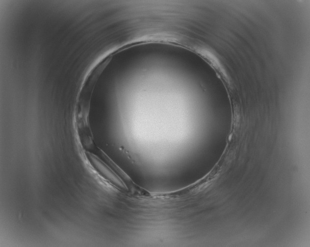 X0000070180952200606091503