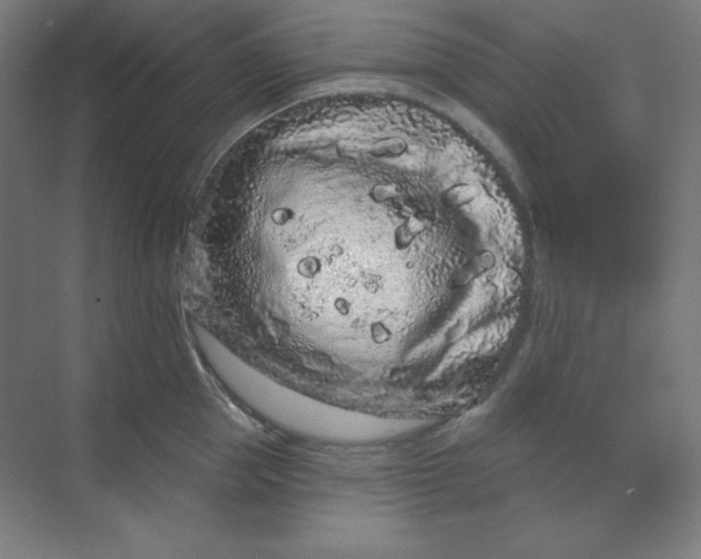 X0000070180953200606091503