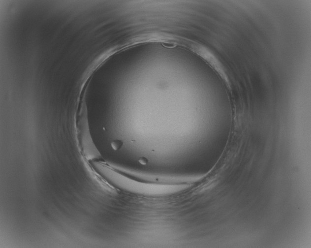 X0000070180954200606091503