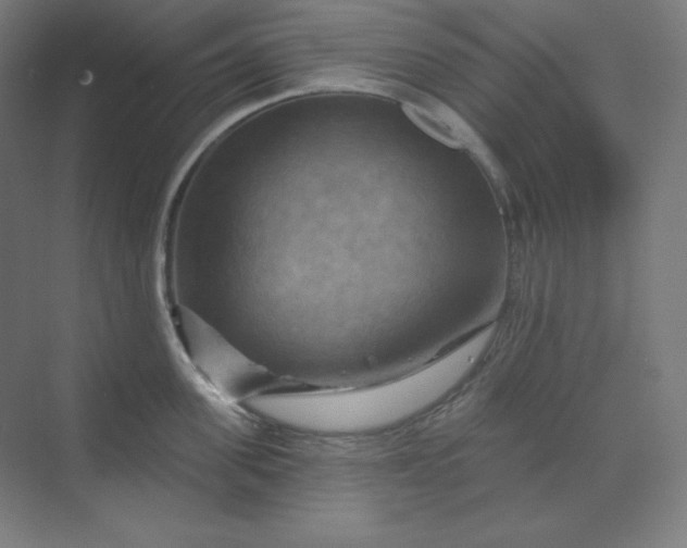 X0000070180955200606091503