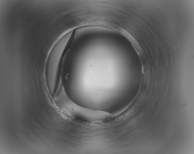 X0000070180956200606091503