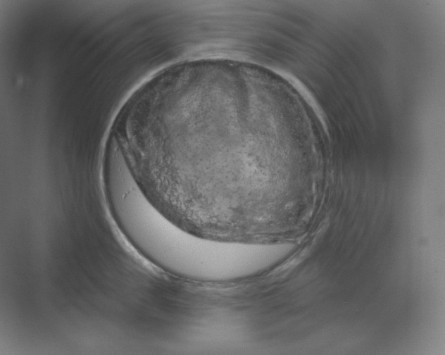 X0000070180957200606091503