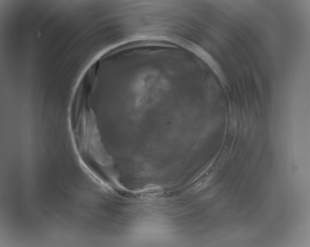 X0000070180958200606091503