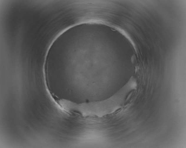 X0000070180959200606091503