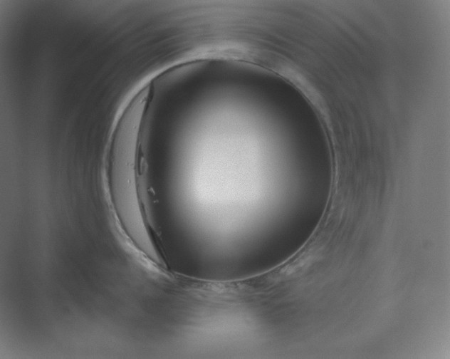 X0000070180960200606091503