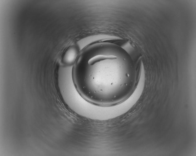 X0000070180961200606091502