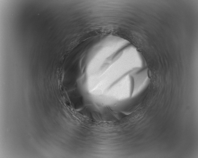 X0000070180962200606091502