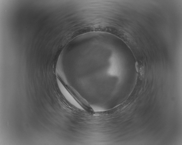 X0000070180963200606091502