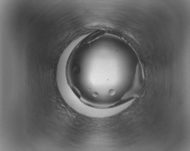 X0000070180965200606091502