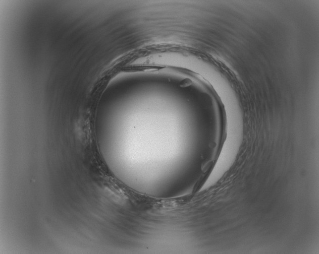 X0000070180968200606091502