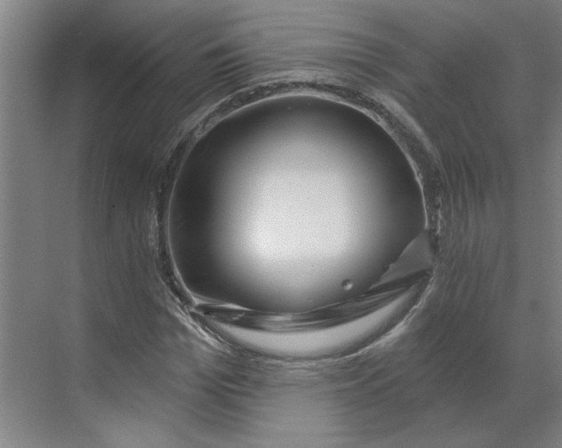 X0000070180969200606091502