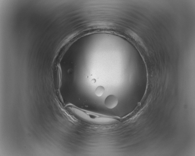 X0000070180970200606091502