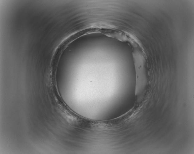 X0000070180971200606091502