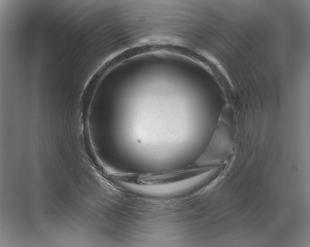 X0000070180973200606091502