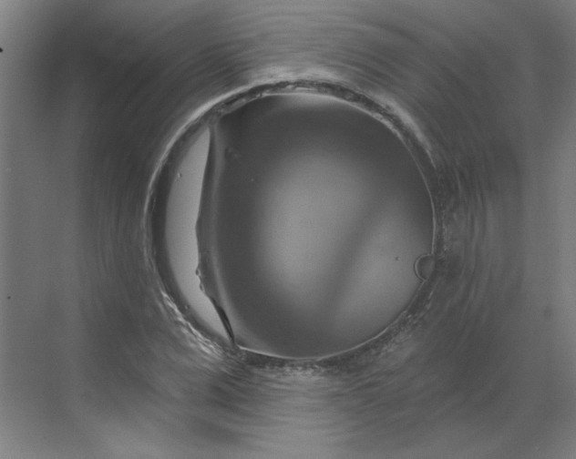 X0000070180975200606091502