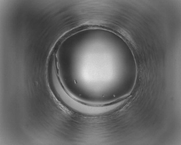 X0000070180976200606091502