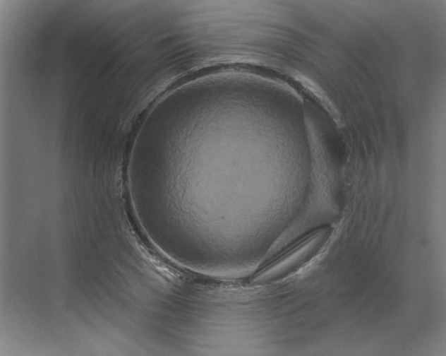 X0000070180977200606091502