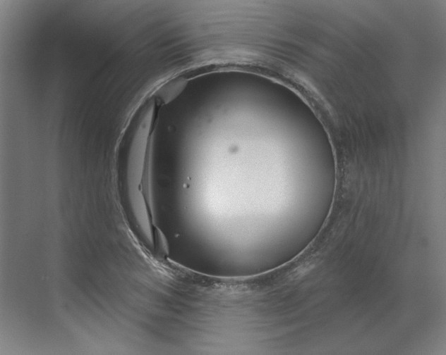 X0000070180978200606091502