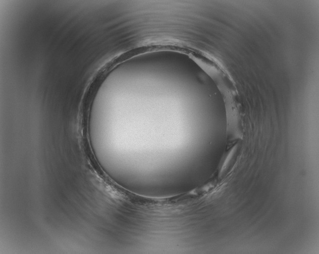 X0000070180979200606091502