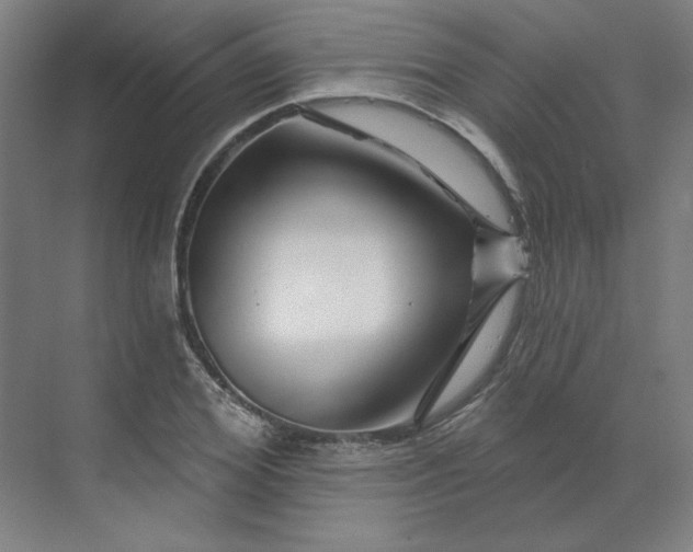 X0000070180980200606091502