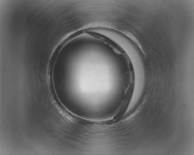 X0000070180981200606091502