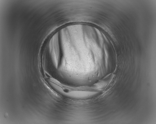 X0000070180982200606091502