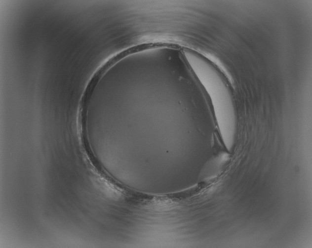 X0000070180983200606091502