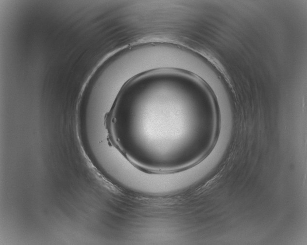 X0000070180984200606091502