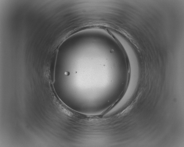 X0000070180985200606091502