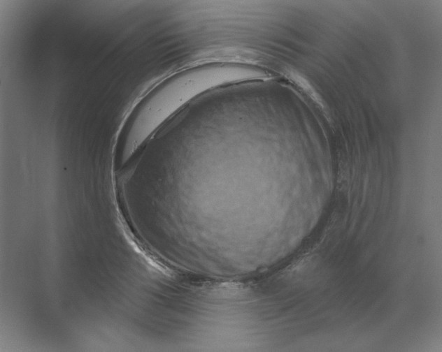 X0000070180986200606091502