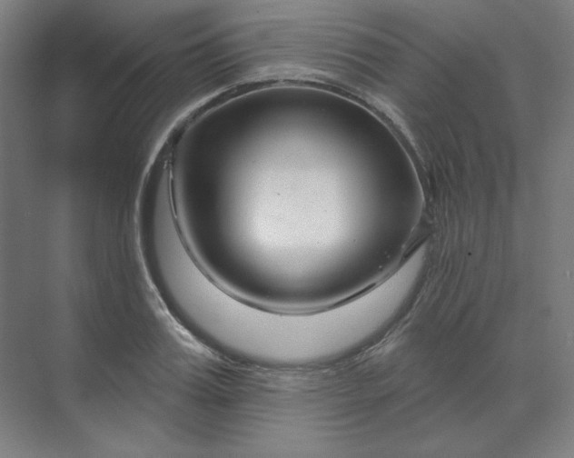 X0000070180987200606091502