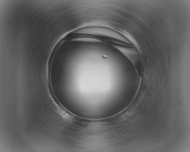 X0000070180988200606091502