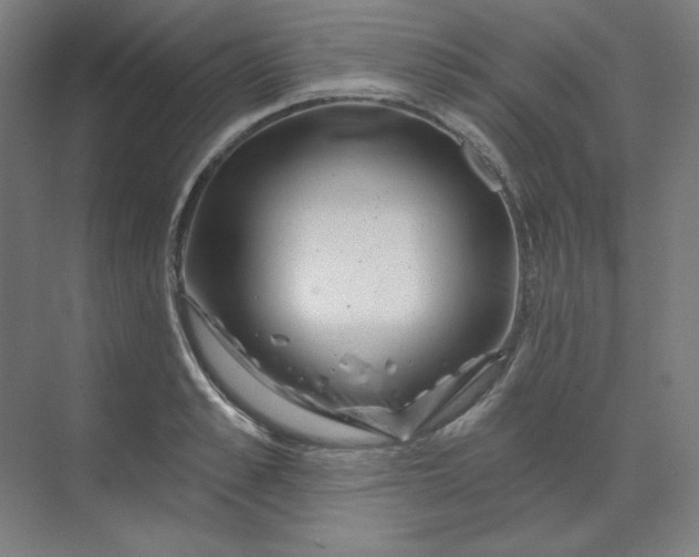 X0000070180989200606091502