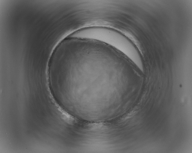 X0000070180990200606091502